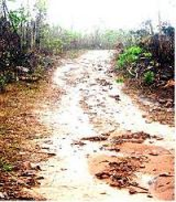 Vereadora Seluir cobra recuperação de pontos críticos nas estradas vicinais