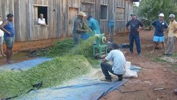 Com parceria da Vereadora Seluir Gleba lontra recebeu curso de Silagem