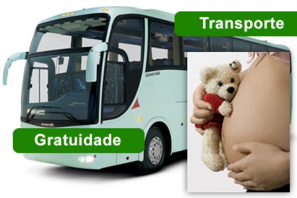 Câmara aprova gratuidade de passagens de ônibus a gestantes de Aripuanã